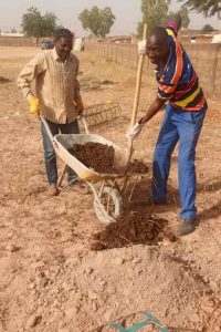plantatiions 12