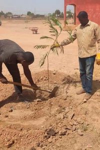 Plantation