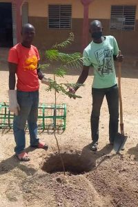 plantatiions 25