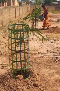 plantatiions 34