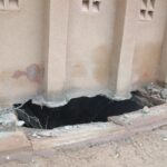 Latrines en fin de vie